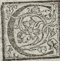 An illustration from Il Principe... La vita di Castruccio Castracani... Il modo che tenne il duca Valentino per ammazare Vitellozo, Oliverotto da Fermo, il S. Pagolo et il duca di Gravina... I ritratti delle cose della Francia et della Alamagna... Nuovamente aggiunti... (1535)