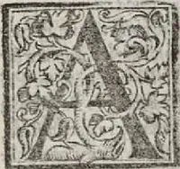 An illustration from Il Principe... La vita di Castruccio Castracani... Il modo che tenne il duca Valentino per ammazare Vitellozo, Oliverotto da Fermo, il S. Pagolo et il duca di Gravina... I ritratti delle cose della Francia et della Alamagna... Nuovamente aggiunti... (1535)