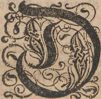 An illustration from Norriges oc omliggende Øers sandfoerdige Bescriffuelse... (1632)