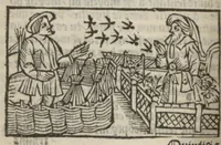 Picture 18 of 43 from Le mirouer du regime et gouvernement du corps & de lame : compose par le saige Caton senateur romain : auquel est comprins deux cens & ung commandement : soubz lesquelz sont comprinses plusieurs exemples aornees de plusieurs figures. (1543), leaf 103