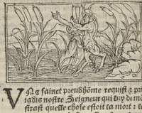 Picture 27 of 43 from Le mirouer du regime et gouvernement du corps & de lame : compose par le saige Caton senateur romain : auquel est comprins deux cens & ung commandement : soubz lesquelz sont comprinses plusieurs exemples aornees de plusieurs figures. (1543), leaf 145