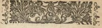 An illustration from Catalogues de quelques plantes a fleurs qui sont de present au jardin de Pierre Morin le jeune dit Troisième, fleuriste (1651)