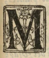 An illustration from Catalogue des plantes, tant des tulipes, que des autres fleurs qui sont à présent au jardin du sieur Jean-Baptiste Dru (1653)