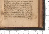 An illustration from Færoœ, et Fœroa reserata : that is a description of the islands & inhabitants of Foeroe : being seventeen islands subject to the King of Denmark, lying under 62 deg. 10 min. of north latitude. Wherein several secrets of nature are brought to light, and some antiquities hitherto kept in darkness discovered. (1676)