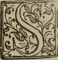 An illustration from Tratado de la qualidad manifiesta, y virtud del azogue : llamado comunmente el mercurio, y por otro nombre el argentum vivum ... (1649)