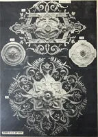 Picture 10 of 32 from A. Auberlet: Stone carving, Wood, Marble Interior and Exterior Stone and Cardboard-Plaster for Artistic Ornamentation, such as Castles, Churches, Hotels, Houses, Public Monuments. Projects, Models and Drawings of all styles. Export to France and Abroad. (1890), leaf 11