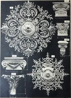 An illustration from A. Auberlet: Stone carving, Wood, Marble Interior and Exterior Stone and Cardboard-Plaster for Artistic Ornamentation, such as Castles, Churches, Hotels, Houses, Public Monuments. Projects, Models and Drawings of all styles. Export to France and Abroad. (1890)