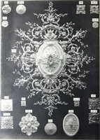An illustration from A. Auberlet: Stone carving, Wood, Marble Interior and Exterior Stone and Cardboard-Plaster for Artistic Ornamentation, such as Castles, Churches, Hotels, Houses, Public Monuments. Projects, Models and Drawings of all styles. Export to France and Abroad. (1890)