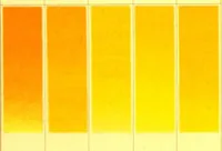An illustration from A descriptive handbook of modern water colour pigments illustrated with seventy-two colour washes skilfully gradated by hand on Whatman's drawing paper : with an introductory essay on the recent water-colour controversy. (1887)