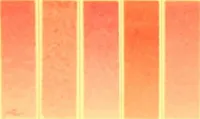 Picture 2 of 24 from A descriptive handbook of modern water colour pigments illustrated with seventy-two colour washes skilfully gradated by hand on Whatman's drawing paper : with an introductory essay on the recent water-colour controversy. (1887), leaf 6