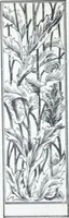 Picture 69 of 182 from A few suggestions for ornamental decoration in painters' and decorators' work / compiled by F. Scott Mitchell. (1909), leaf 75