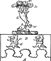 Picture 17 of 148 from A visitation of the county of Kent (1906), leaf 28