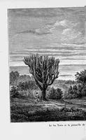 An illustration from Abyssinie (1880)
