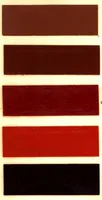 An illustration from Agate house paints. (1910)