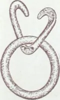 An illustration from Ajax distinctive specialties : embodying the characteristic points of merit found only in the Ajax make. (1907)