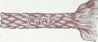 Picture 9 of 49 from Ajax distinctive specialties : embodying the characteristic points of merit found only in the Ajax make. (1907), leaf 5