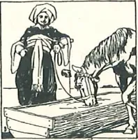 An illustration from Aladdin Houses 1915 (1915)