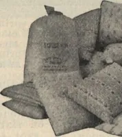 An illustration from Alladin homecraft market place (1915)