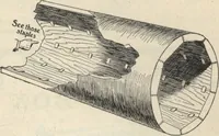 Picture 65 of 277 from American carpenter and builder, august 1906 (1906), leaf 16