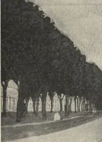 Picture 119 of 277 from American carpenter and builder, august 1906 (1906), leaf 31
