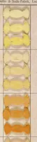 An illustration from Aniline colors on cotton yarn