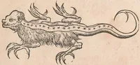 An illustration from Appendix historiae quadrupedum uiuiparorum & ouiparorum Conradi Gesneri Tigurini (1554)