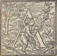 An illustration from Aquatilium animalium historiae, liber primus : cum eorumdem formis, aere excusis (1554)