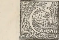 Picture 67 of 182 from Aquatilium animalium historiae, liber primus : cum eorumdem formis, aere excusis (1554), leaf 244