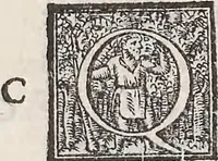 Picture 75 of 182 from Aquatilium animalium historiae, liber primus : cum eorumdem formis, aere excusis (1554), leaf 255