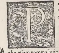 An illustration from Aquatilium animalium historiae, liber primus : cum eorumdem formis, aere excusis (1554)