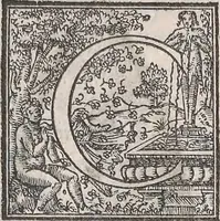 An illustration from Aquatilium animalium historiae, liber primus : cum eorumdem formis, aere excusis (1554)