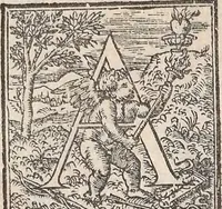 Picture 105 of 182 from Aquatilium animalium historiae, liber primus : cum eorumdem formis, aere excusis (1554), leaf 317