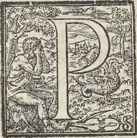 Picture 161 of 182 from Aquatilium animalium historiae, liber primus : cum eorumdem formis, aere excusis (1554), leaf 456