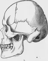 An illustration from Archaeological pamphlets (1880)