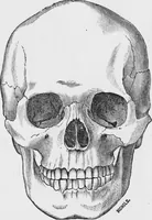 An illustration from Archaeological pamphlets (1880)