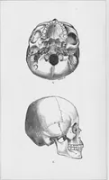 An illustration from Archaeological pamphlets (1880)