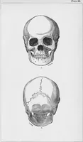 An illustration from Archaeological pamphlets (1880)