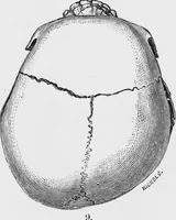 An illustration from Archaeological pamphlets (1880)