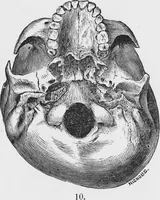 An illustration from Archaeological pamphlets (1880)