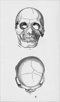 An illustration from Archaeological pamphlets (1880)