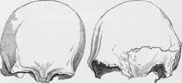 An illustration from Archaeological pamphlets (1880)