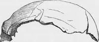 An illustration from Archaeological pamphlets (1880)