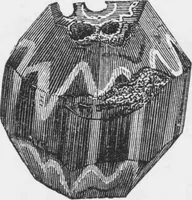 Picture 66 of 74 from Archaeological pamphlets (1880), leaf 249