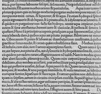 An illustration from Opera omnia / per Janum Cornarium ... latina lingua conscripta (1546)