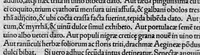 An illustration from Opera omnia / per Janum Cornarium ... latina lingua conscripta (1546)