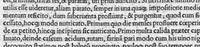 An illustration from Volumina / per Fabium Calvum latinitate donata (1525)