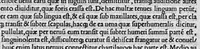 An illustration from Volumina / per Fabium Calvum latinitate donata (1525)
