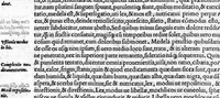 An illustration from Volumina / per Fabium Calvum latinitate donata (1525)