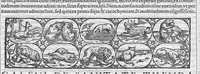 Picture 8 of 11 from Galeni omnia quae extant opera / vol. 3- Secundae classis libri (1565), leaf 122