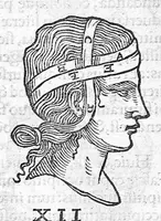 An illustration from Galeni omnia quae extant opera / vol. 8- Septimae classis libri (1565)